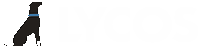 Lycos.com